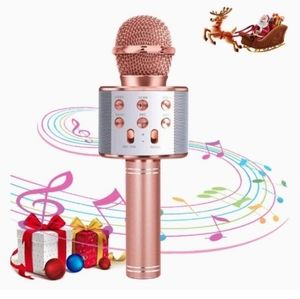 Wireless Bluetooth Karaoke Microphone